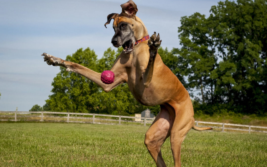 开云电竞app下载安装