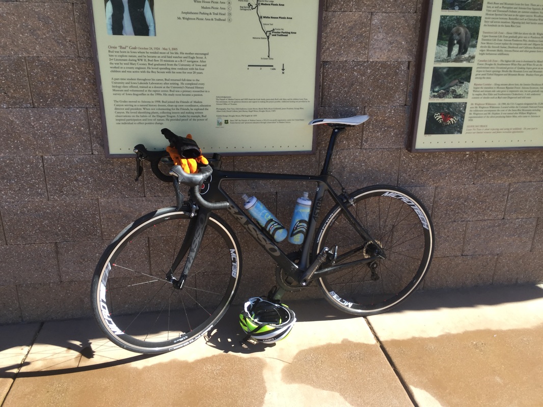 开云电竞app下载安装