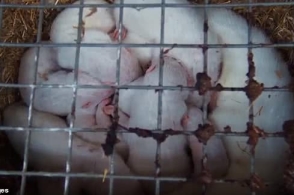 开云电竞app下载安装